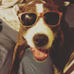 Meet your Posher, Bethany